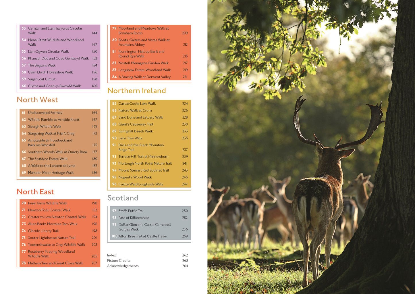 100 Nature Walks (National Trust)