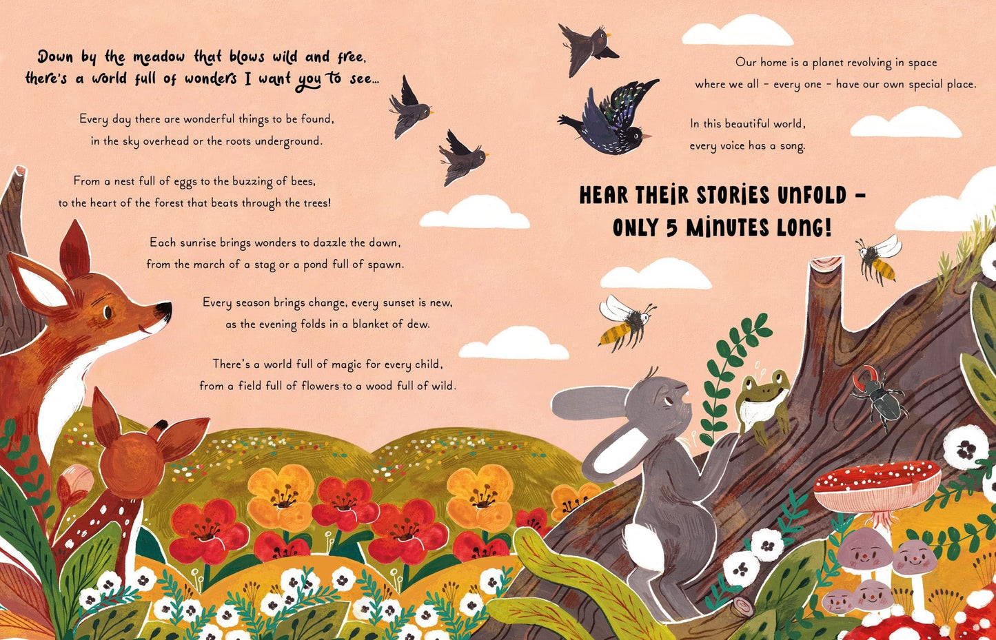 5 Minute Nature Stories: True tales from the Woodland
