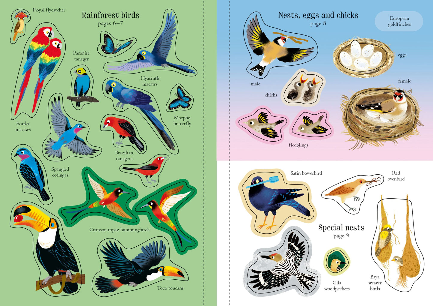 Little First Stickers Birds