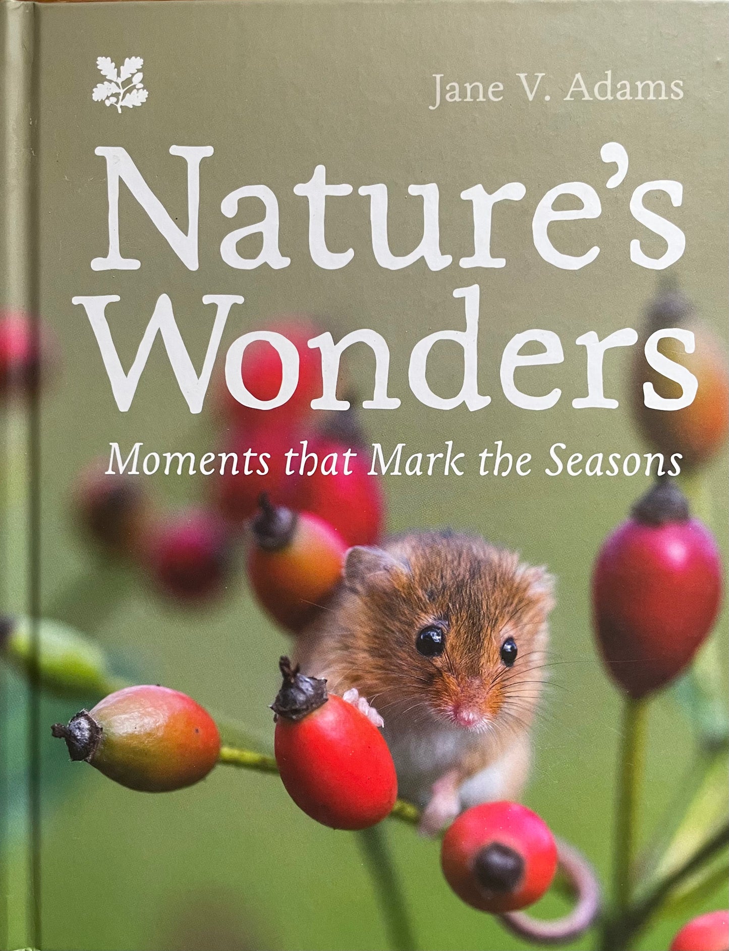 Nature's Wonders (Used)