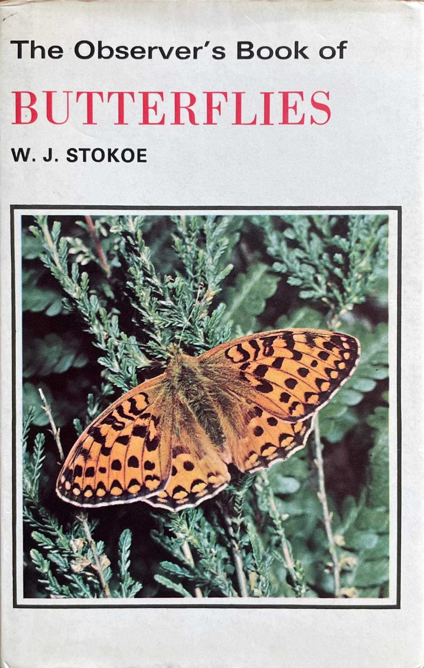 The Observer's Book of Butterflies (Used)