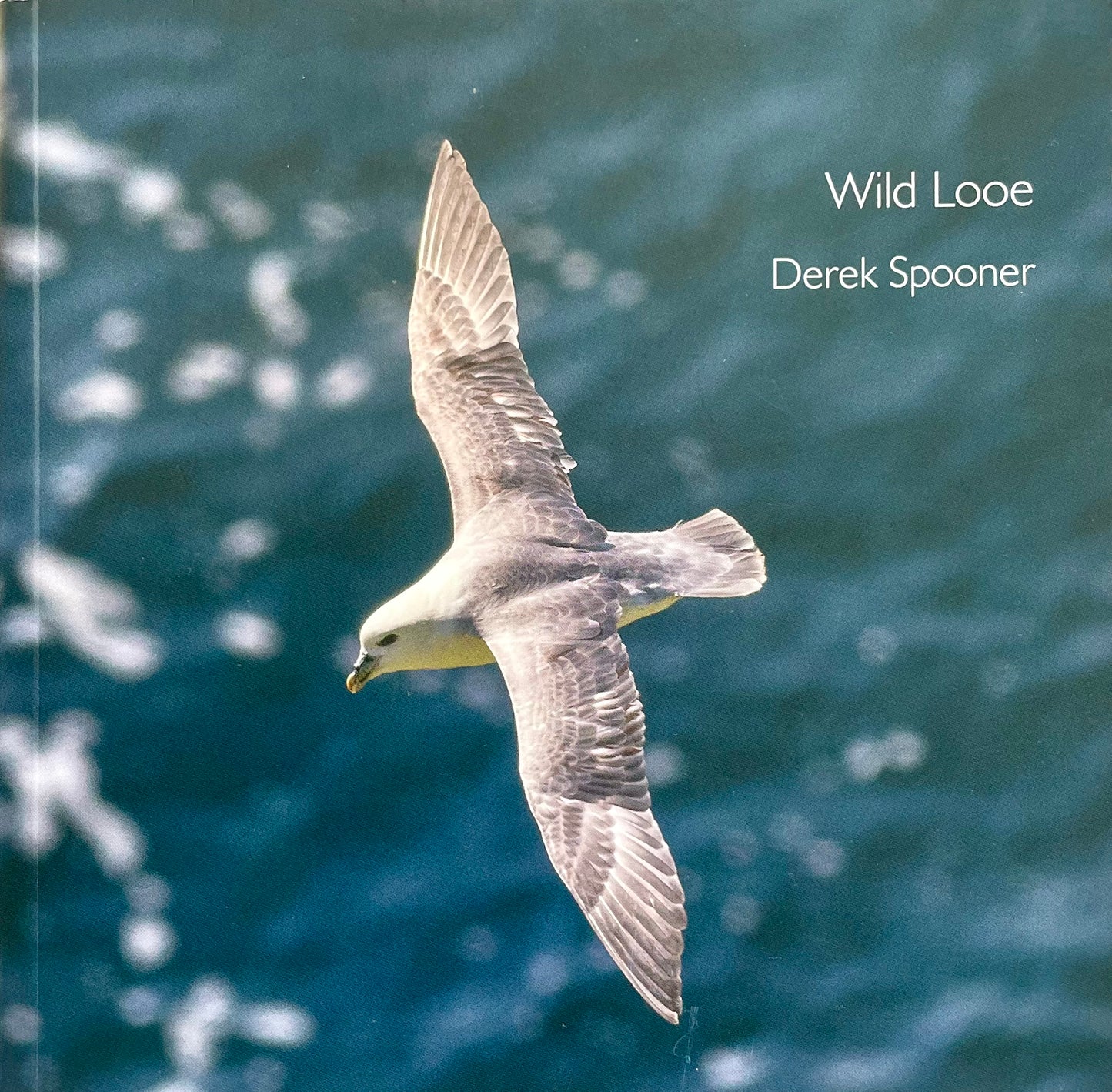 Wild Looe (Used)