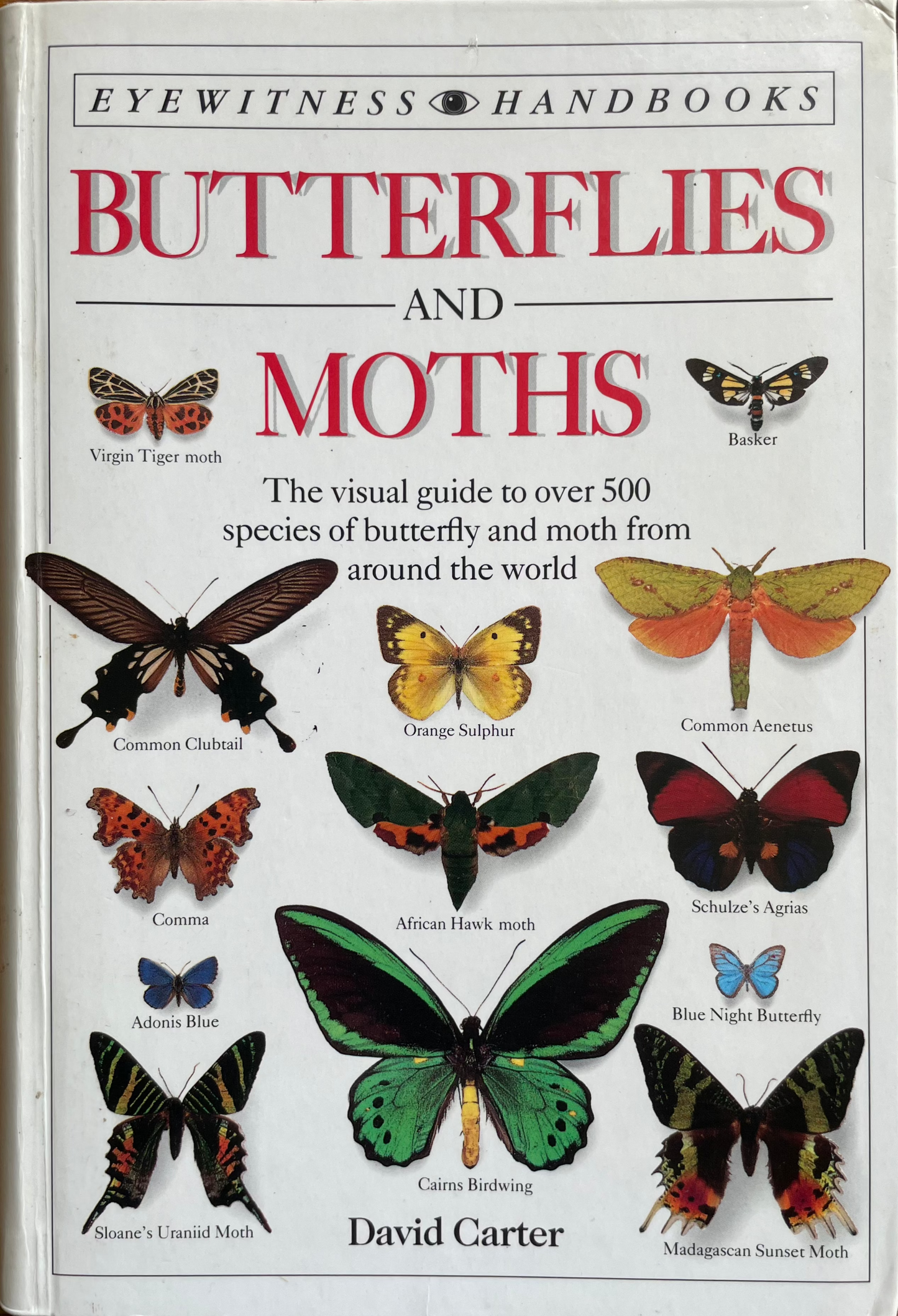 Butterflies and Moths (Used)