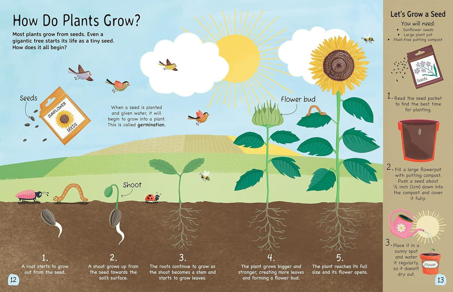 PLANT: Explore the extraordinary world of plants and flowers