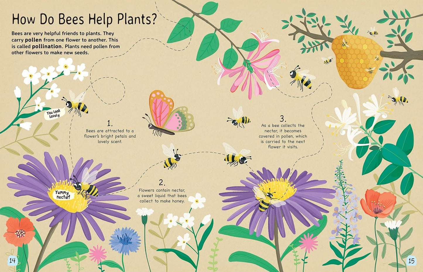 PLANT: Explore the extraordinary world of plants and flowers