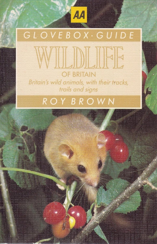 A Hazel Dormouse on the front cover of a Wildlife of Britain field guide