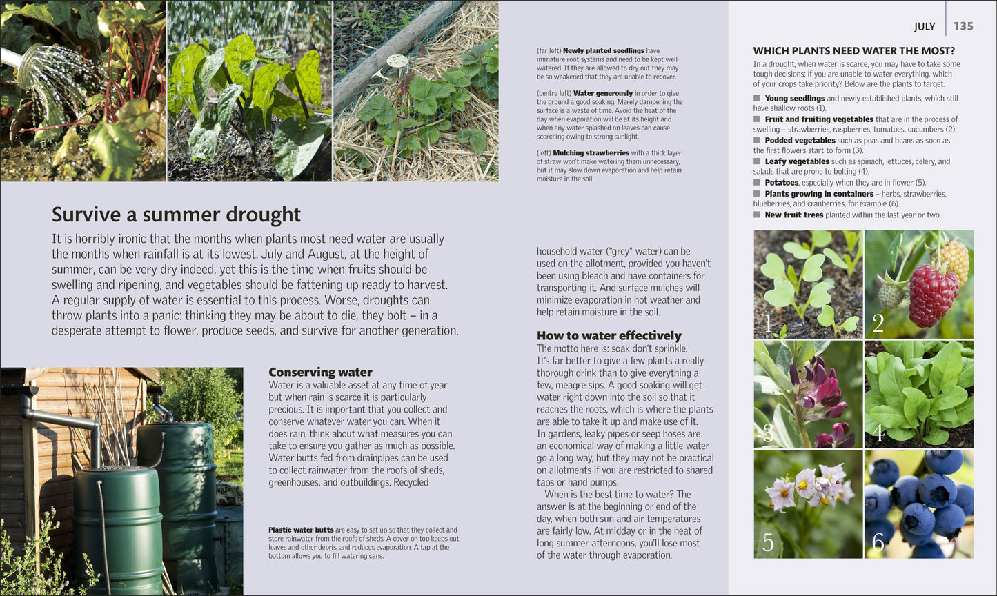 Allotment Month By Month (DK)