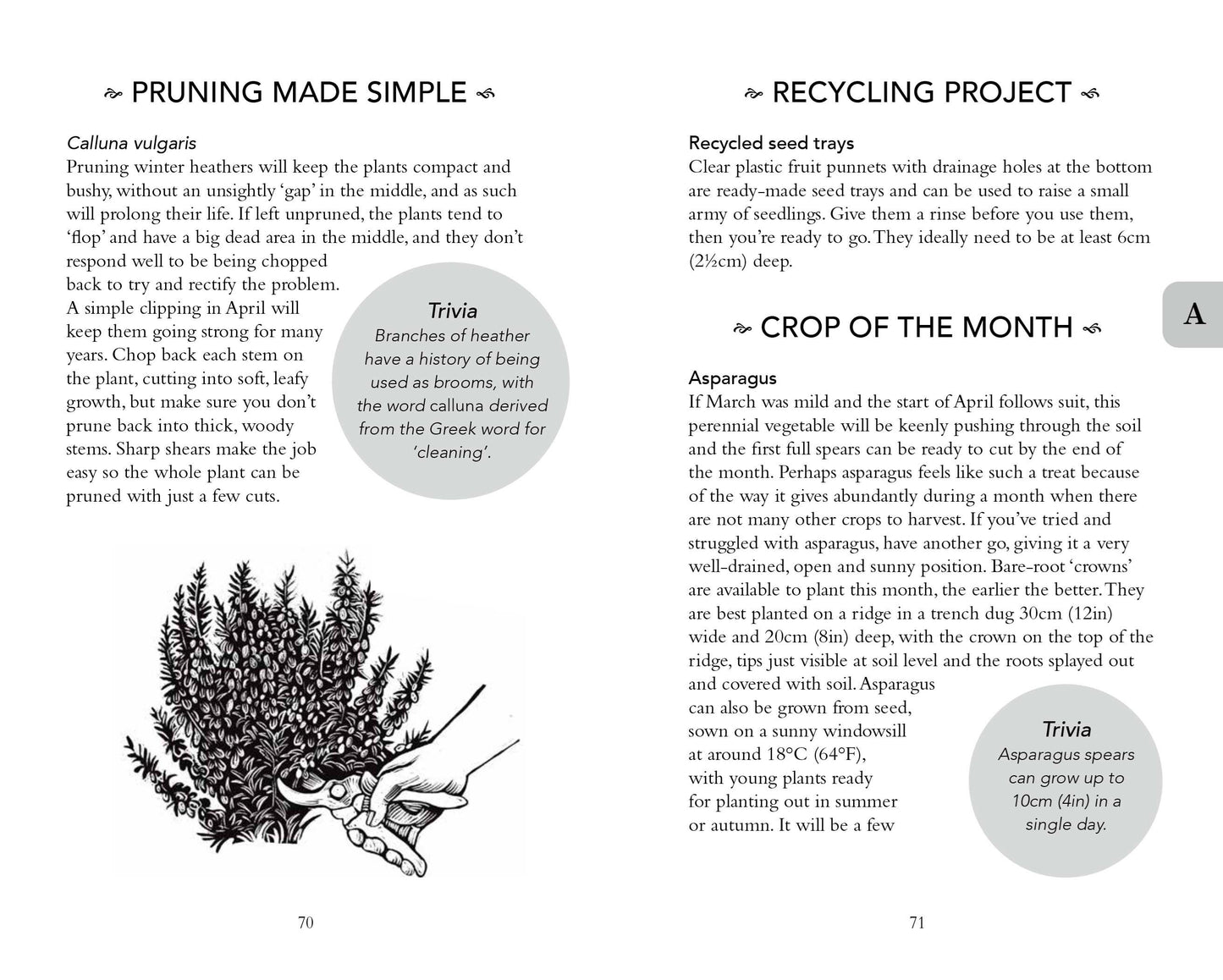 Gardener's Almanac 2025 (National Trust)