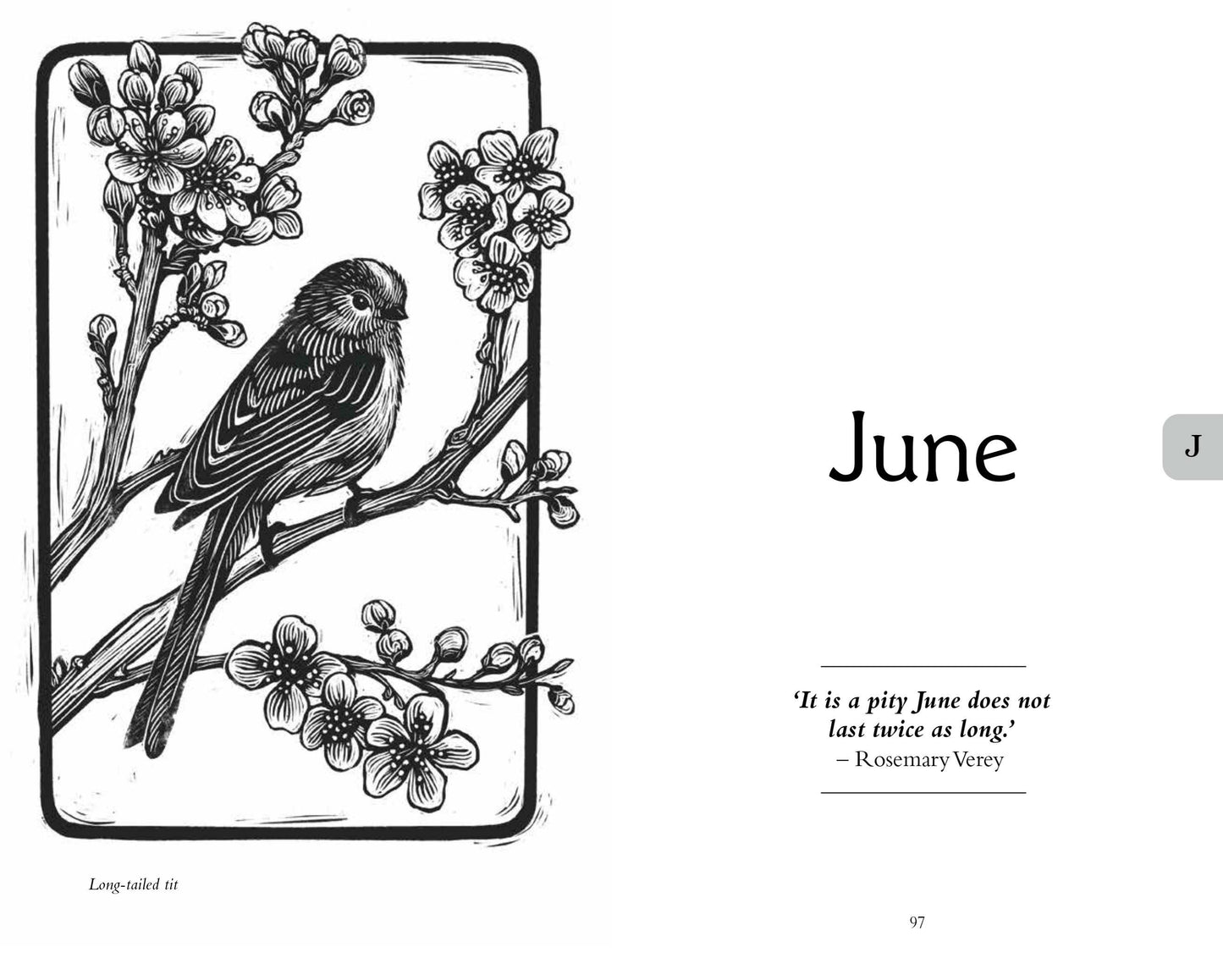 Gardener's Almanac 2025 (National Trust)