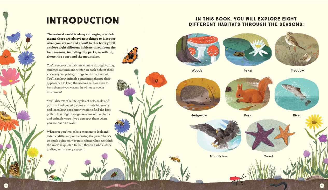 National Trust: A Story of the Seasons: Discover nature through the year