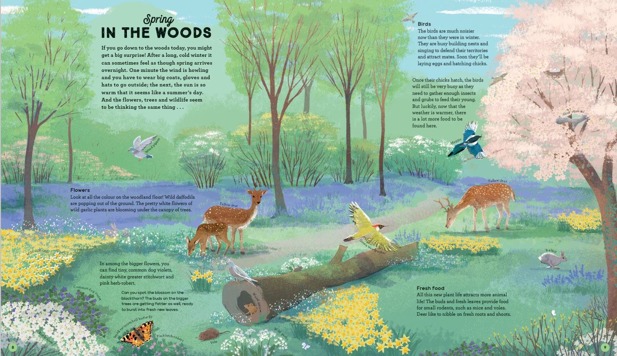 National Trust: A Story of the Seasons: Discover nature through the year