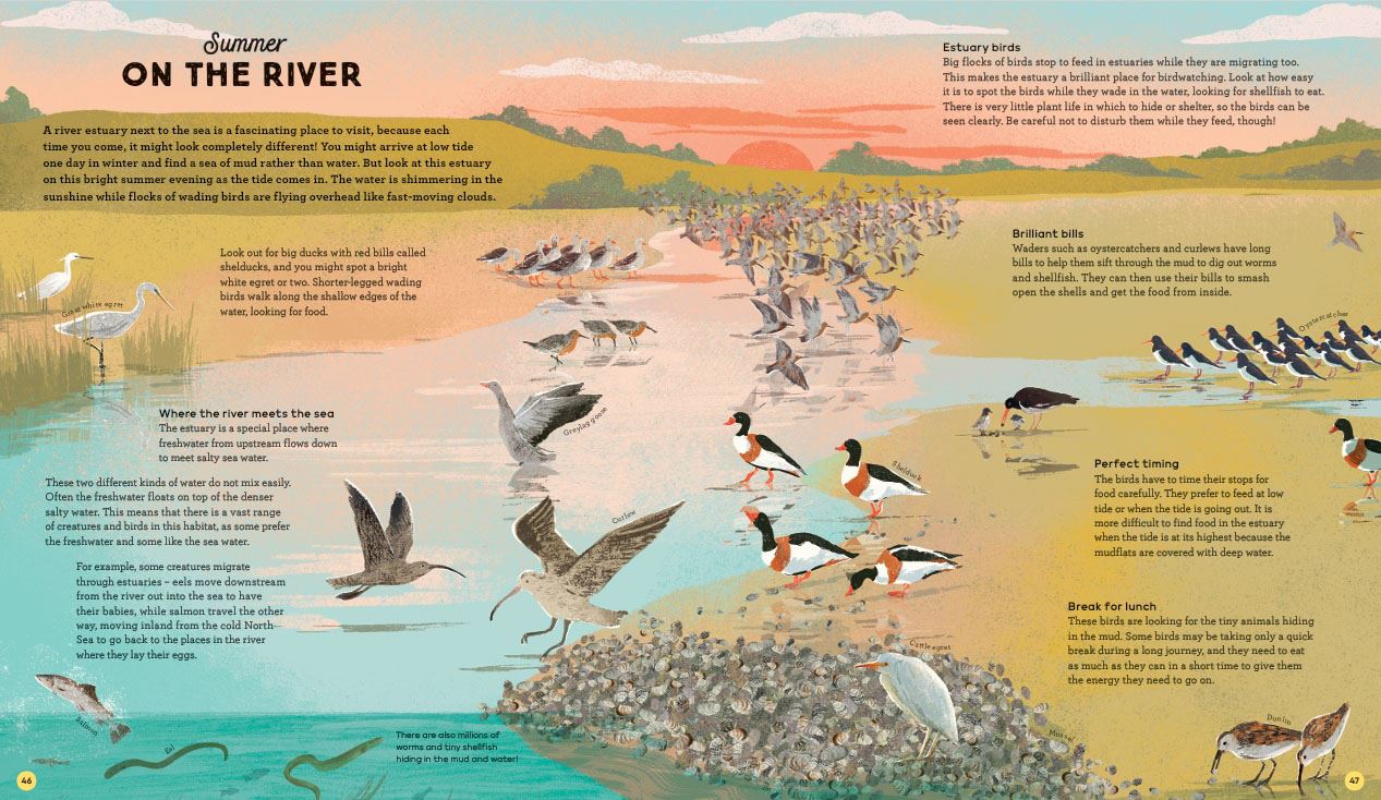 National Trust: A Story of the Seasons: Discover nature through the year