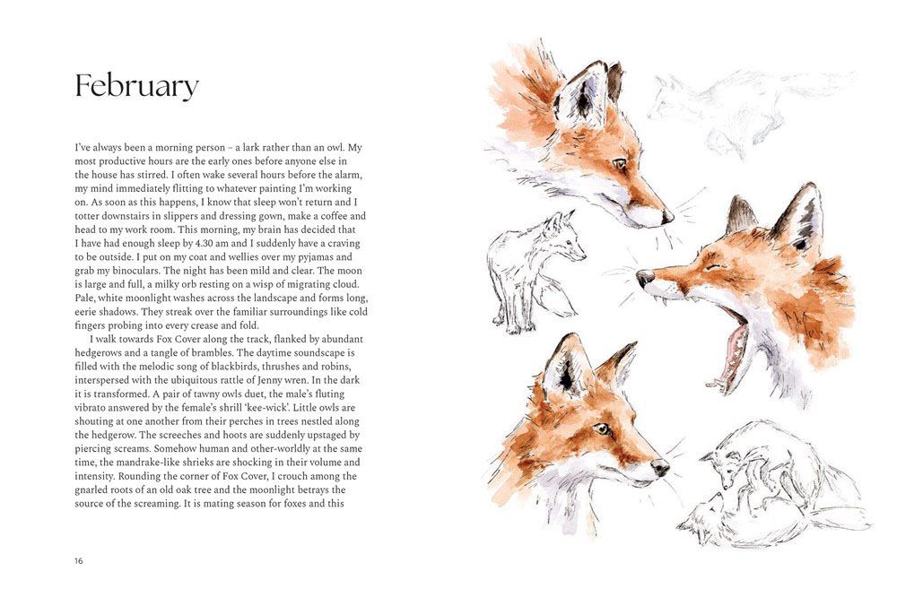 A Wilding Year: Bringing life back to the land