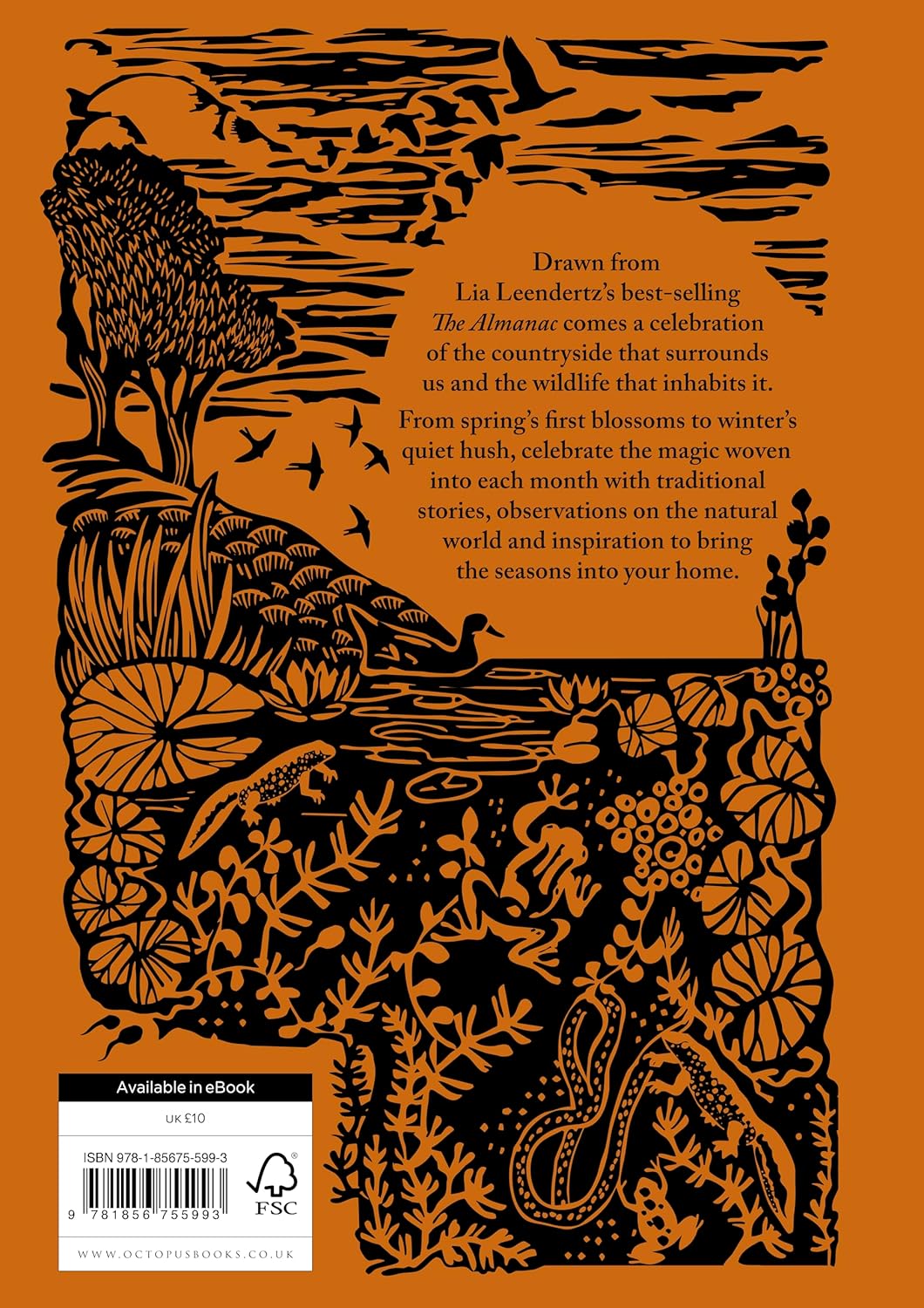 A Year in Nature: A Celebration of the Seasons