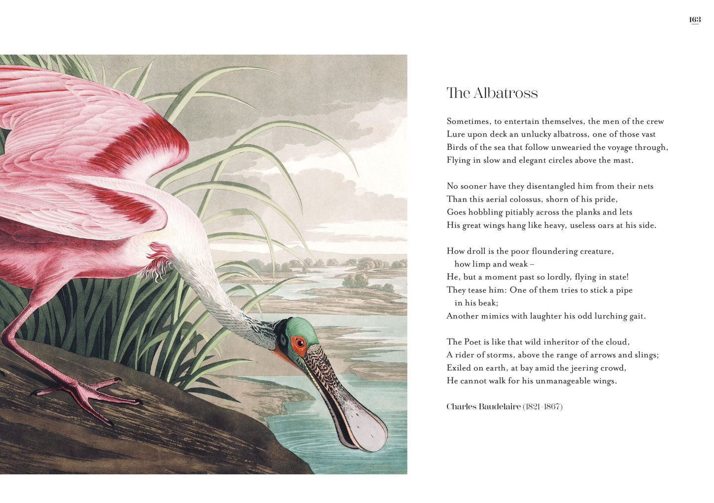 The Poetry of Birds