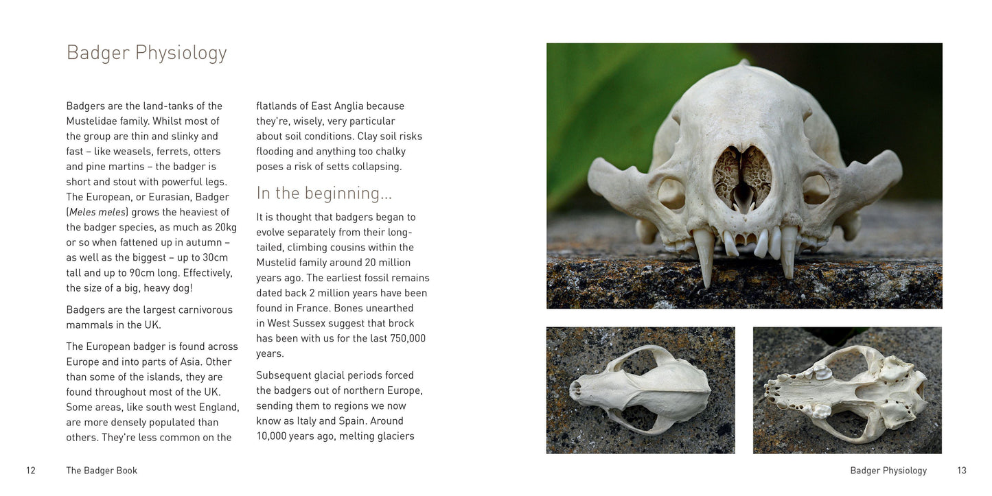 The Badger Book