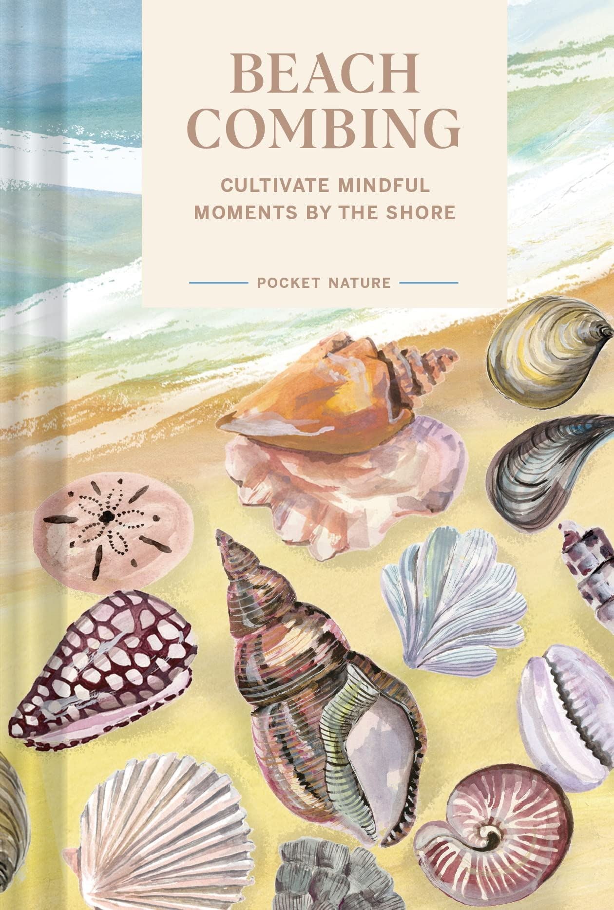 Beach combing (Pocket Nature)