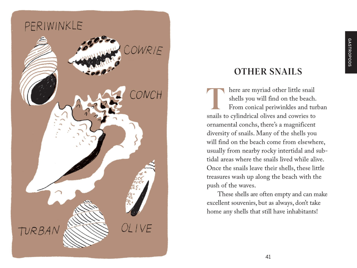 Beach combing (Pocket Nature)