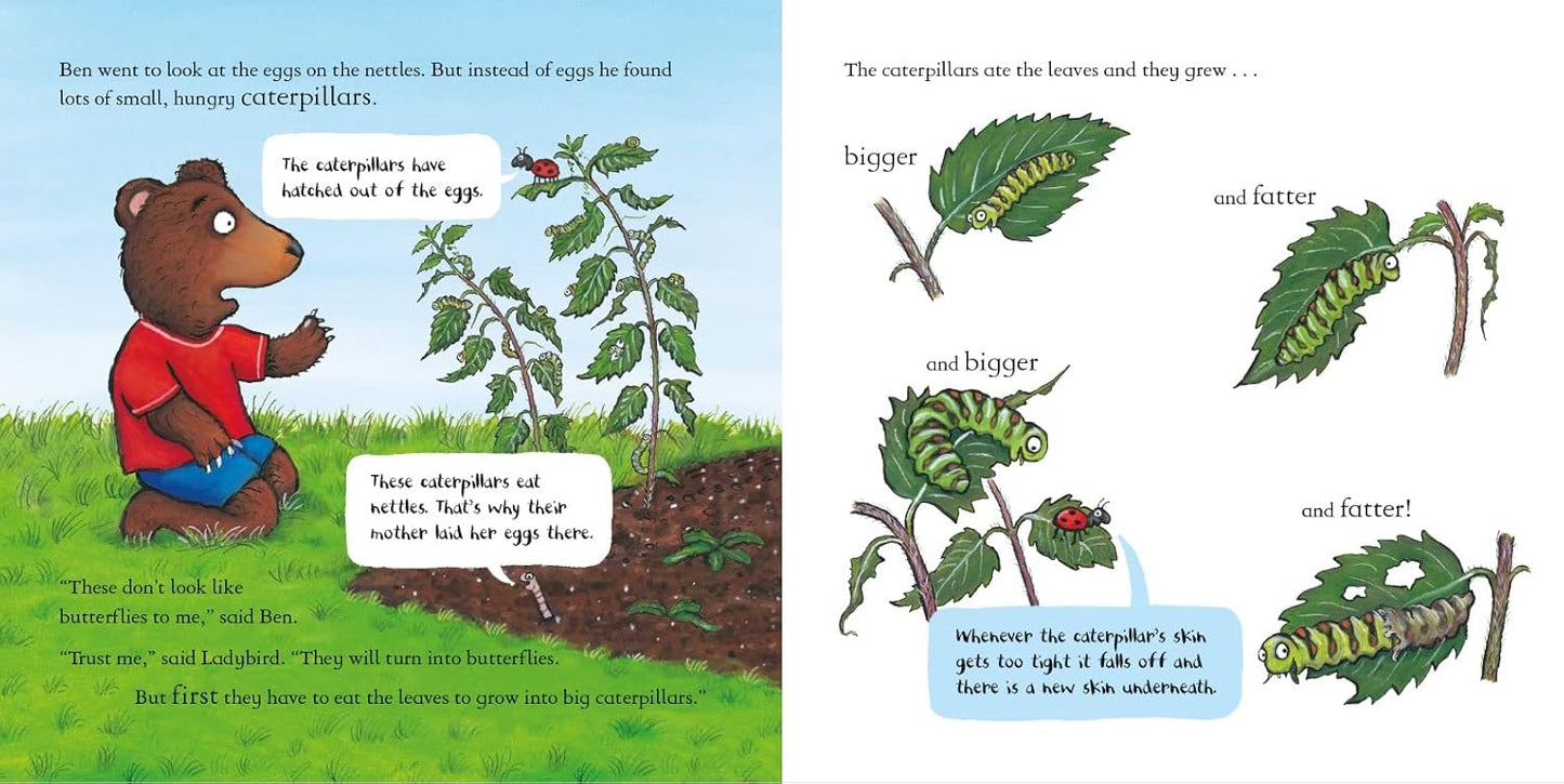National Trust: Ben Plants a Butterfly Garden