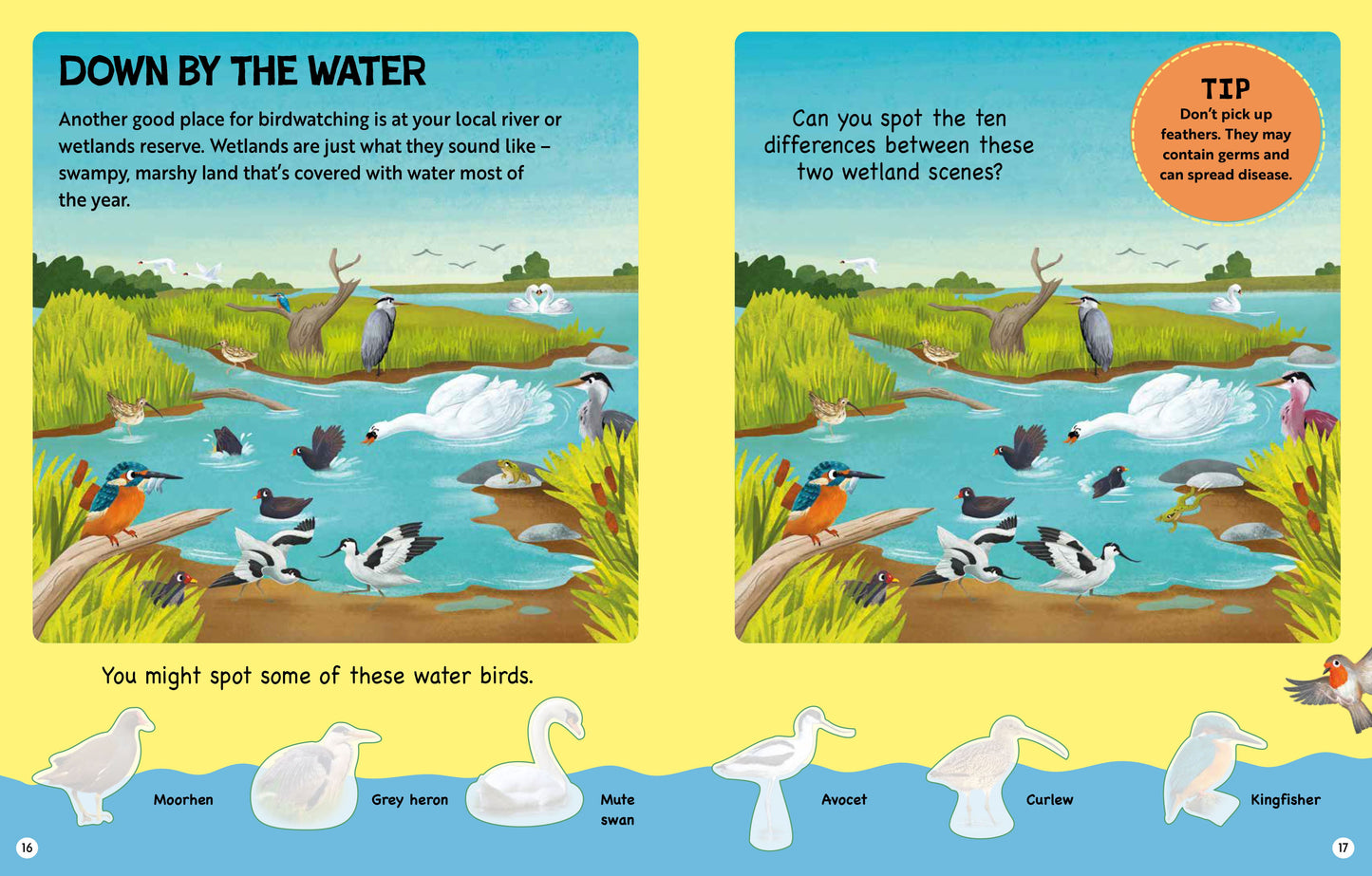 RSPB Big Garden Birdwatch Activity Book: with 70+ stickers!