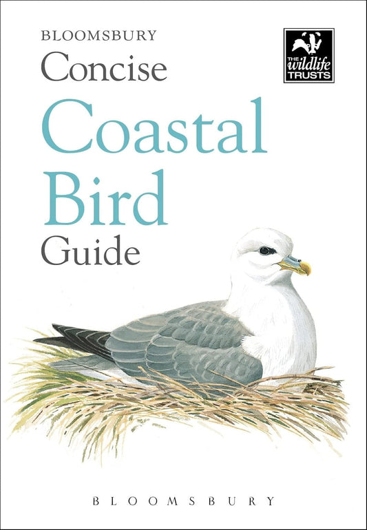 Concise Coastal Bird Guide (Concise Guides)
