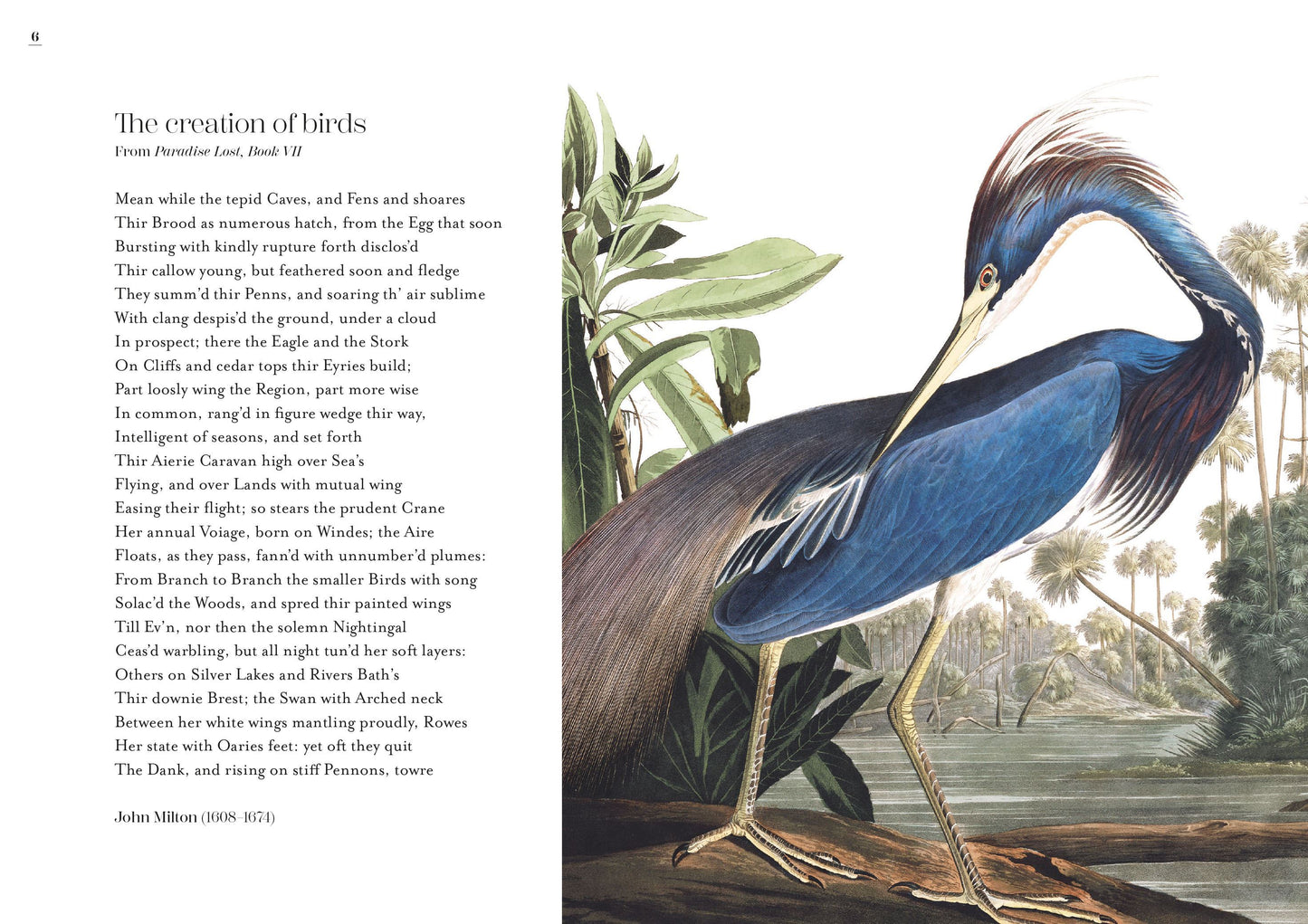 The Poetry of Birds