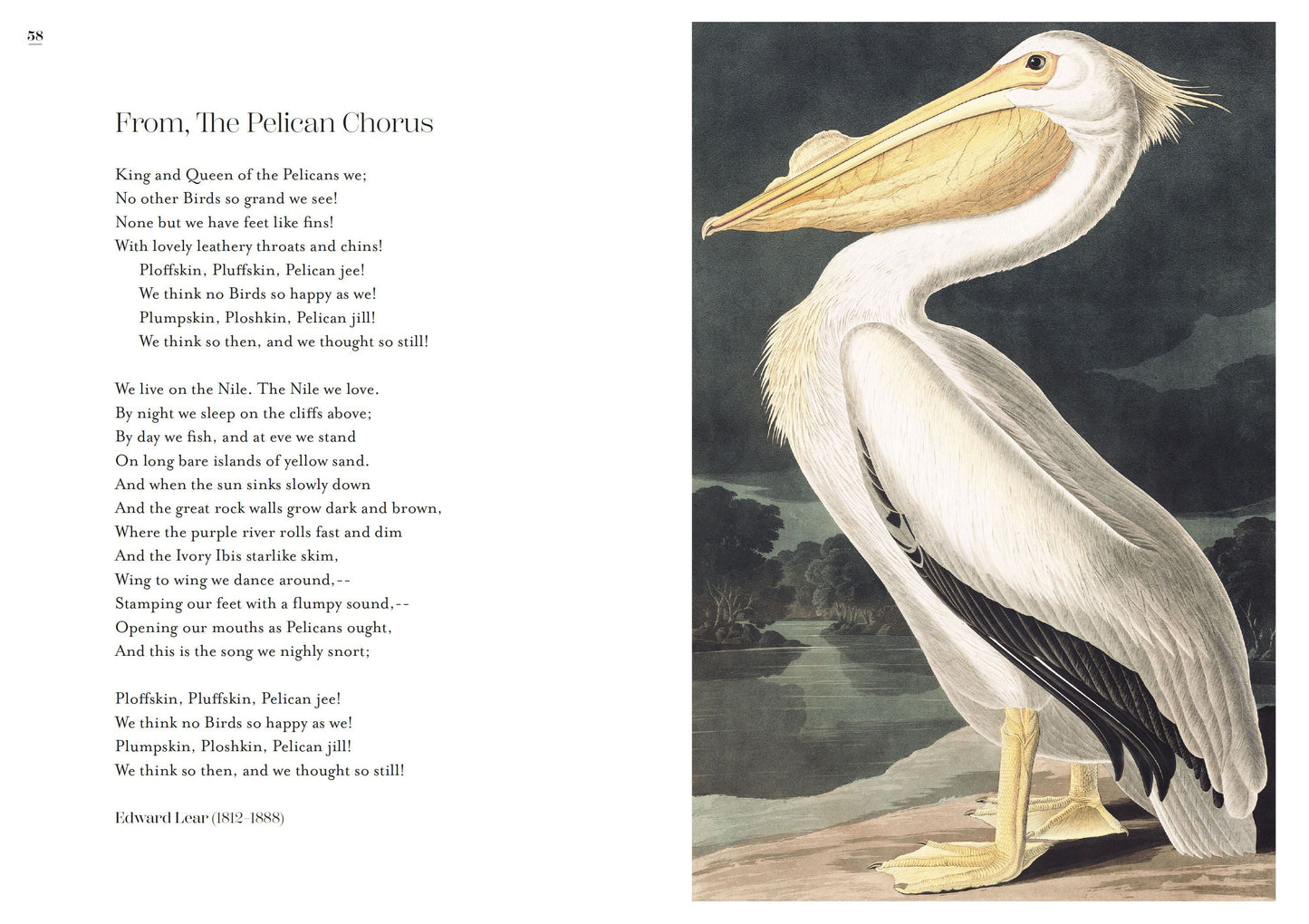 The Poetry of Birds