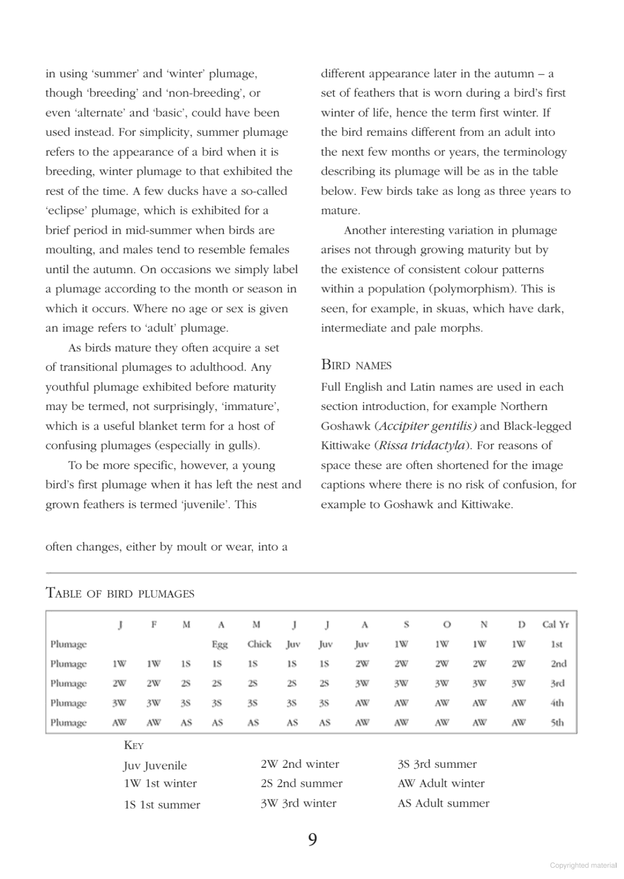 Birds: ID Insights : Identifying the More Difficult Birds of Britain