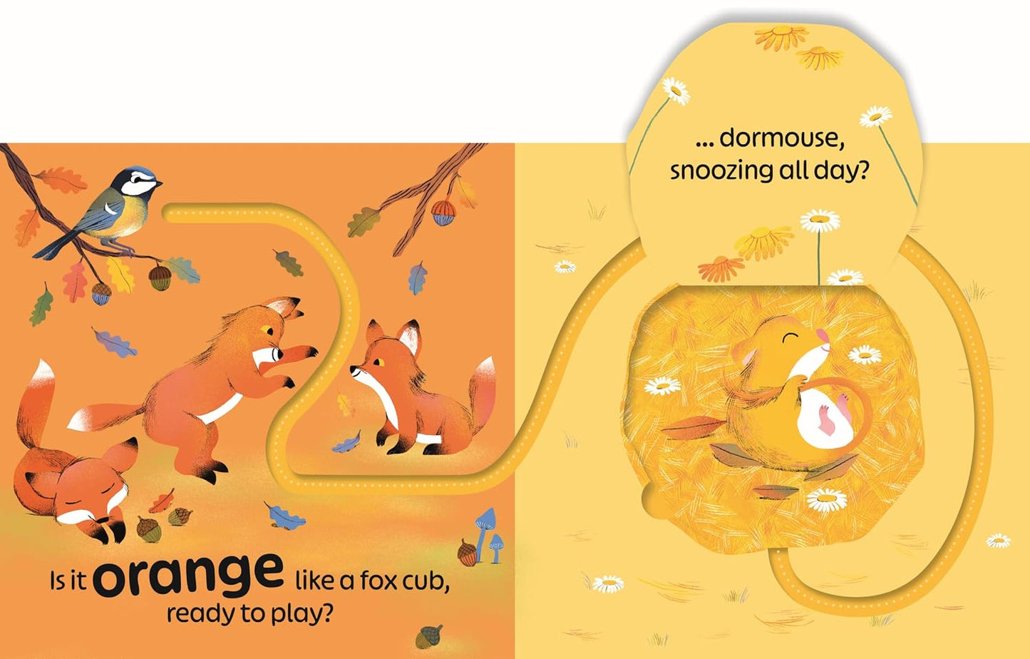 RSPB Birdie Loves Colours: With finger trails and lift-the-flap surprises!