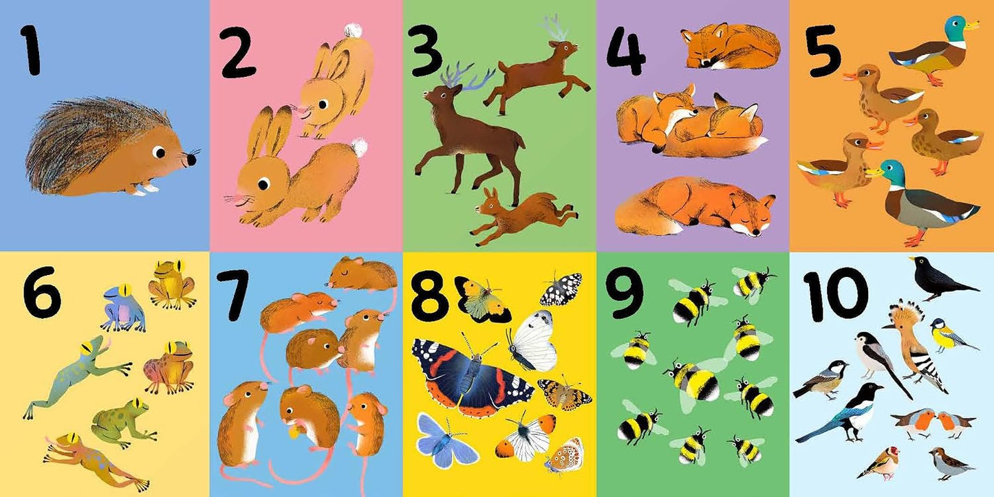 RSPB Birdie Loves Numbers: With finger trails and lift-the-flap surprises!