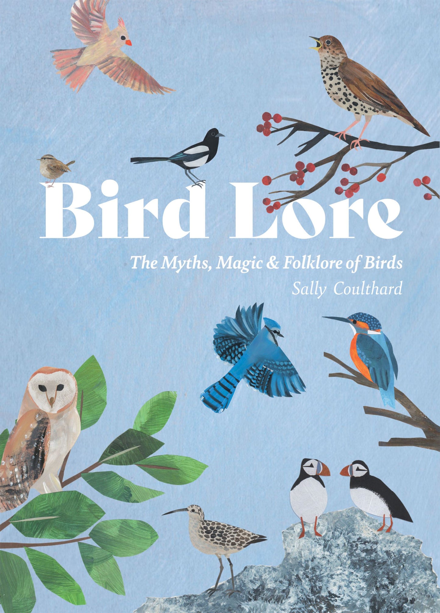 Front cover of Birdlore by Sally Coulthard, featuring illustrated birds, feathers, and nature motifs with a vintage-inspired design.