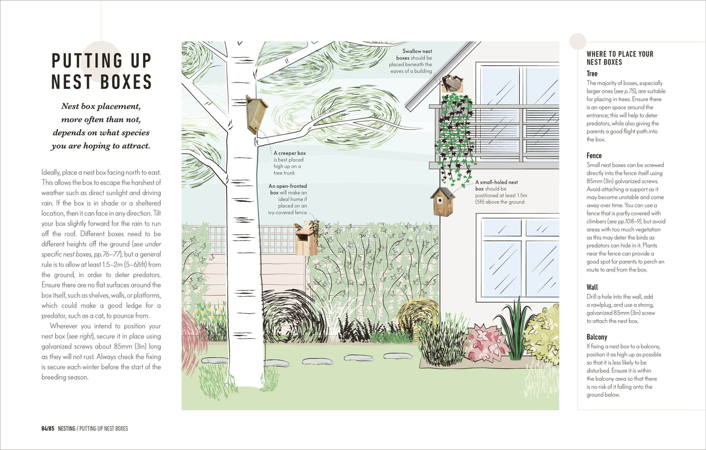 How to Attract Birds to Your Garden