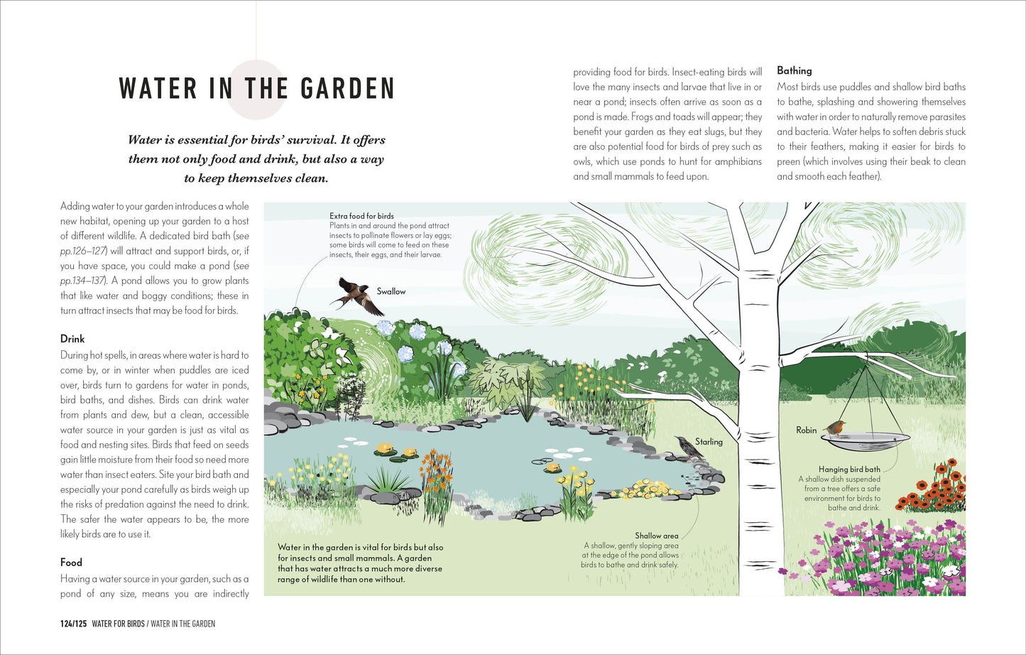 How to Attract Birds to Your Garden