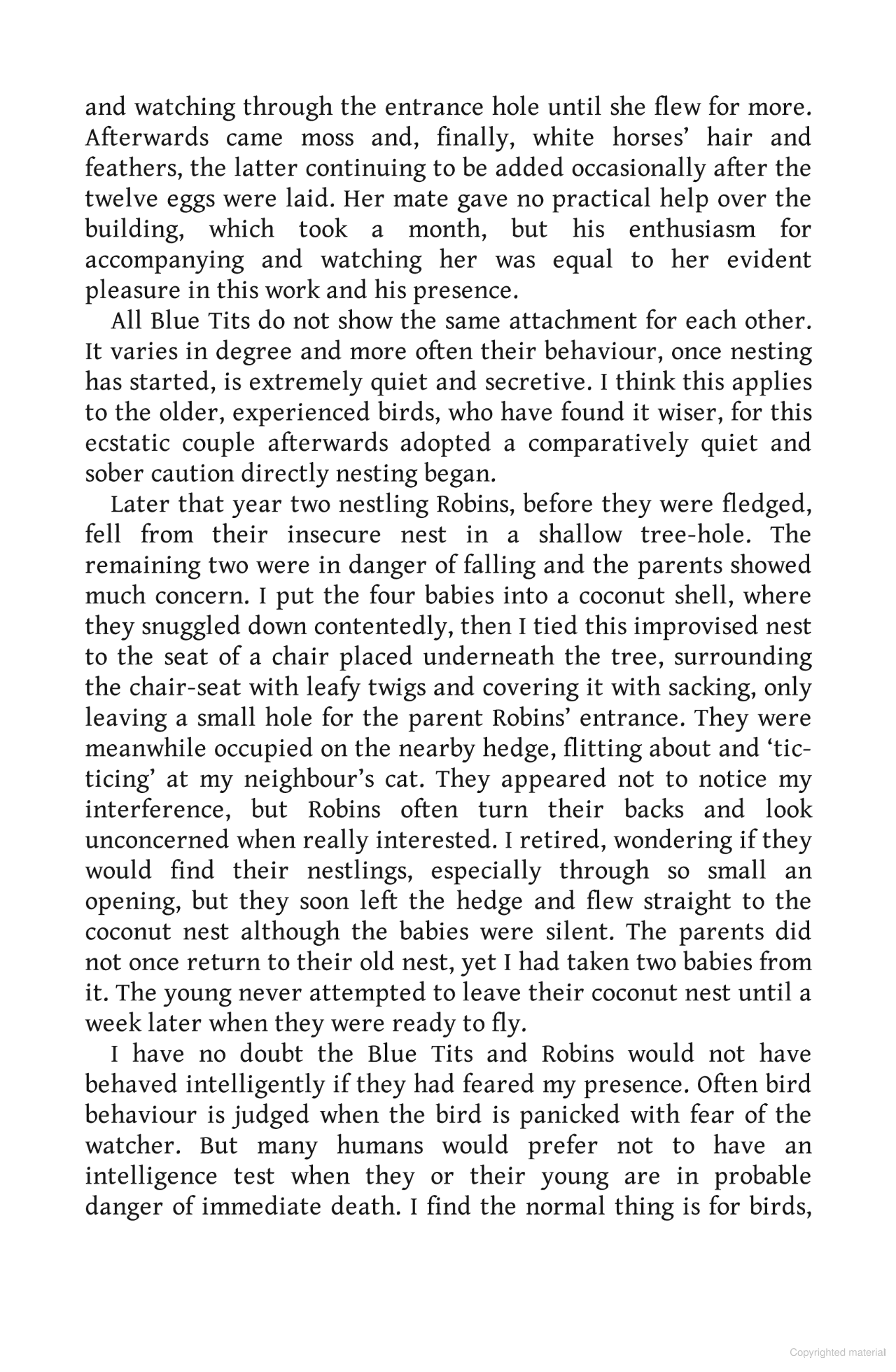 Birds as Individuals: A book about birds unlike any other!