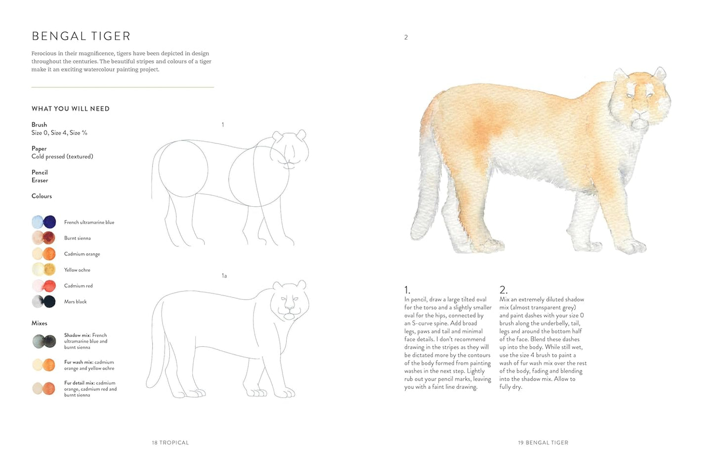 Birds, Bees & Blossoms: A step-by-step guide to botanical and animal watercolour painting