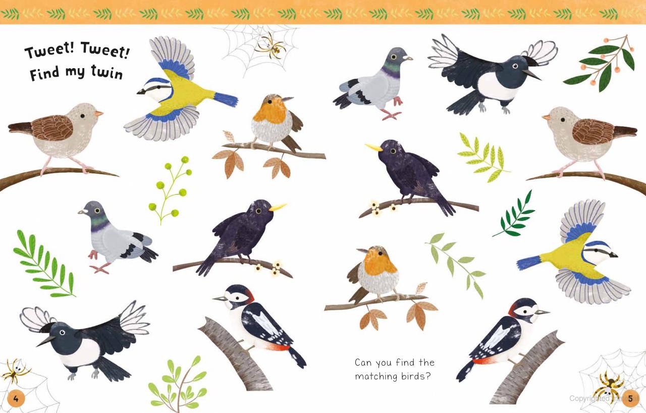 RSPB My First Wildlife Sticker Activity Book