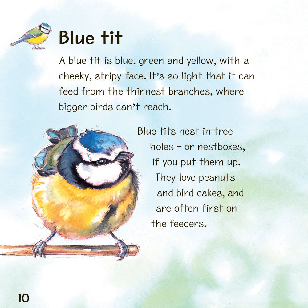 RSPB My First Book of Garden Birds