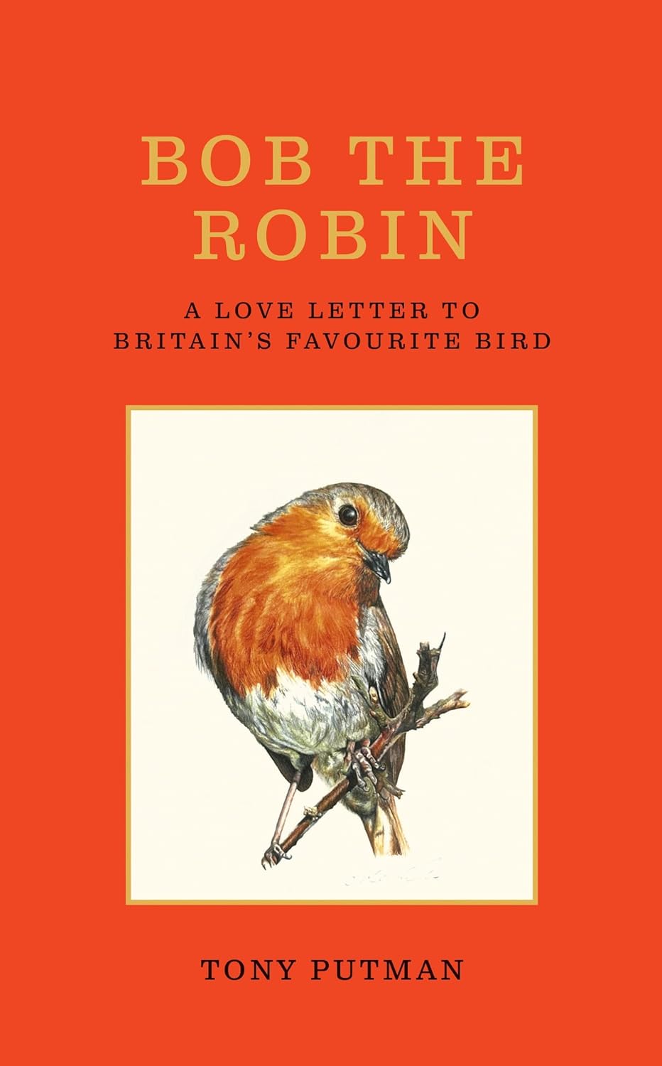 Bob the Robin : A love letter to Britain’s favourite bird