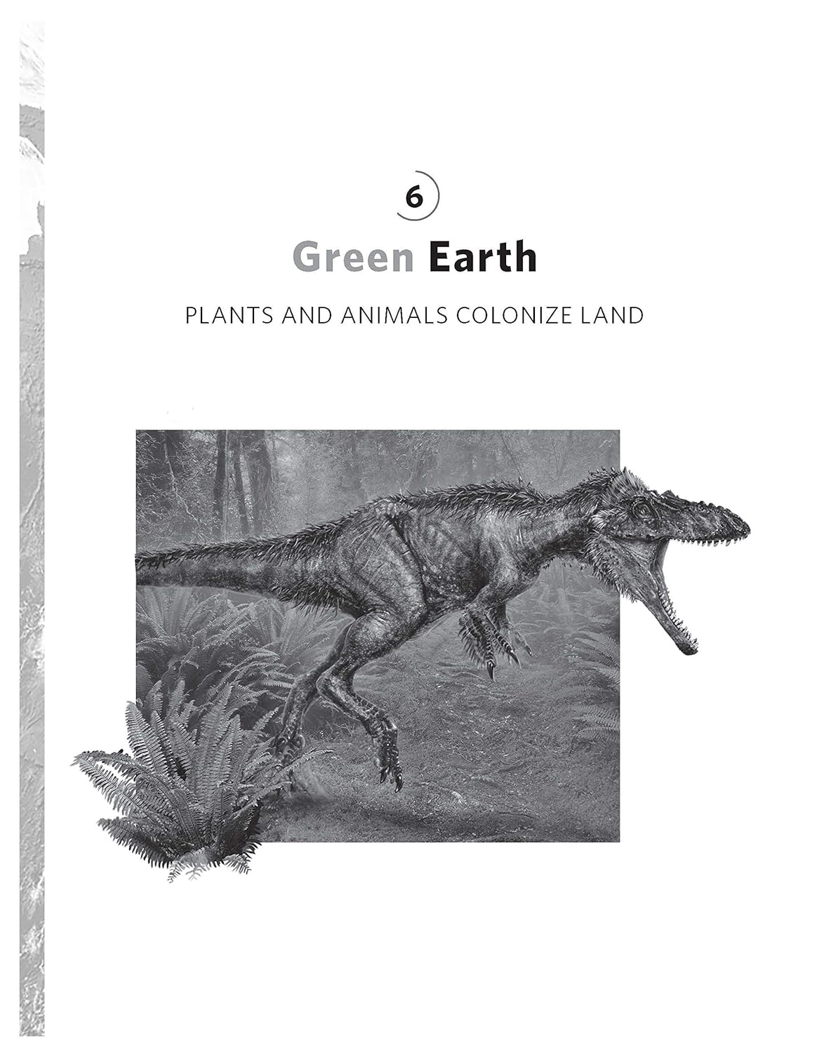 A Brief History of Earth: Four Billion Years in Eight Chapters