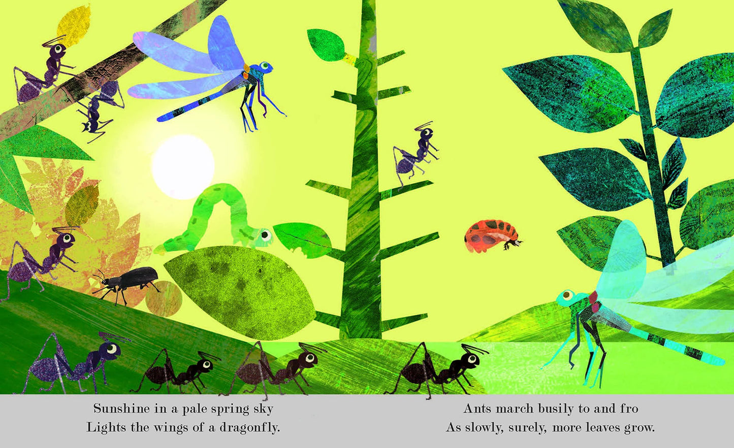 BUGS: Explore a Tiny World Full of Life