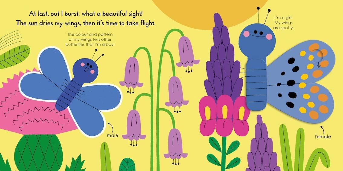 Butterfly (My Little Green World)