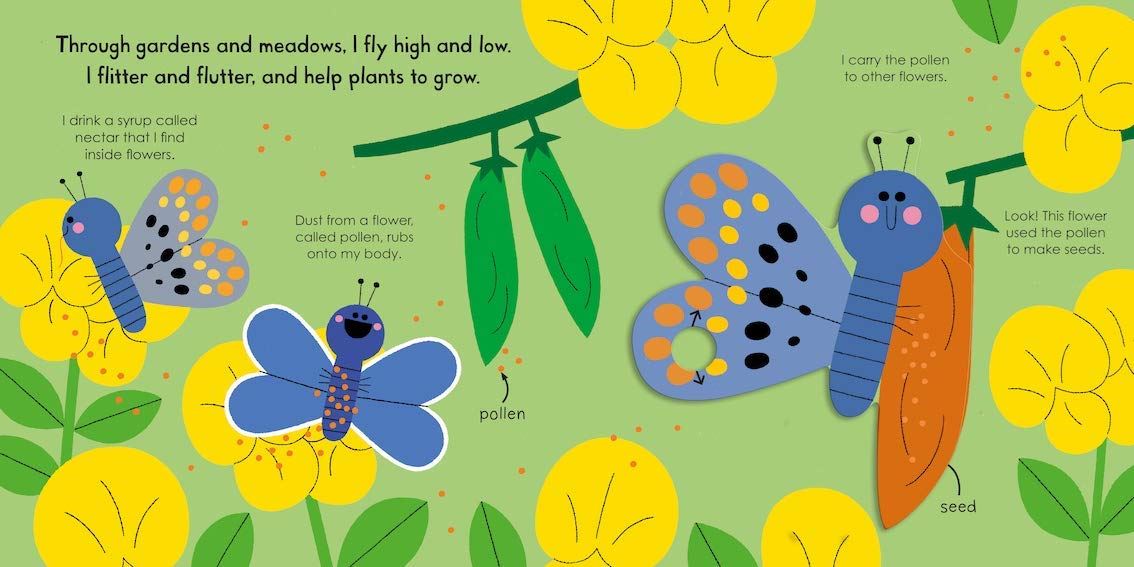 Butterfly (My Little Green World)