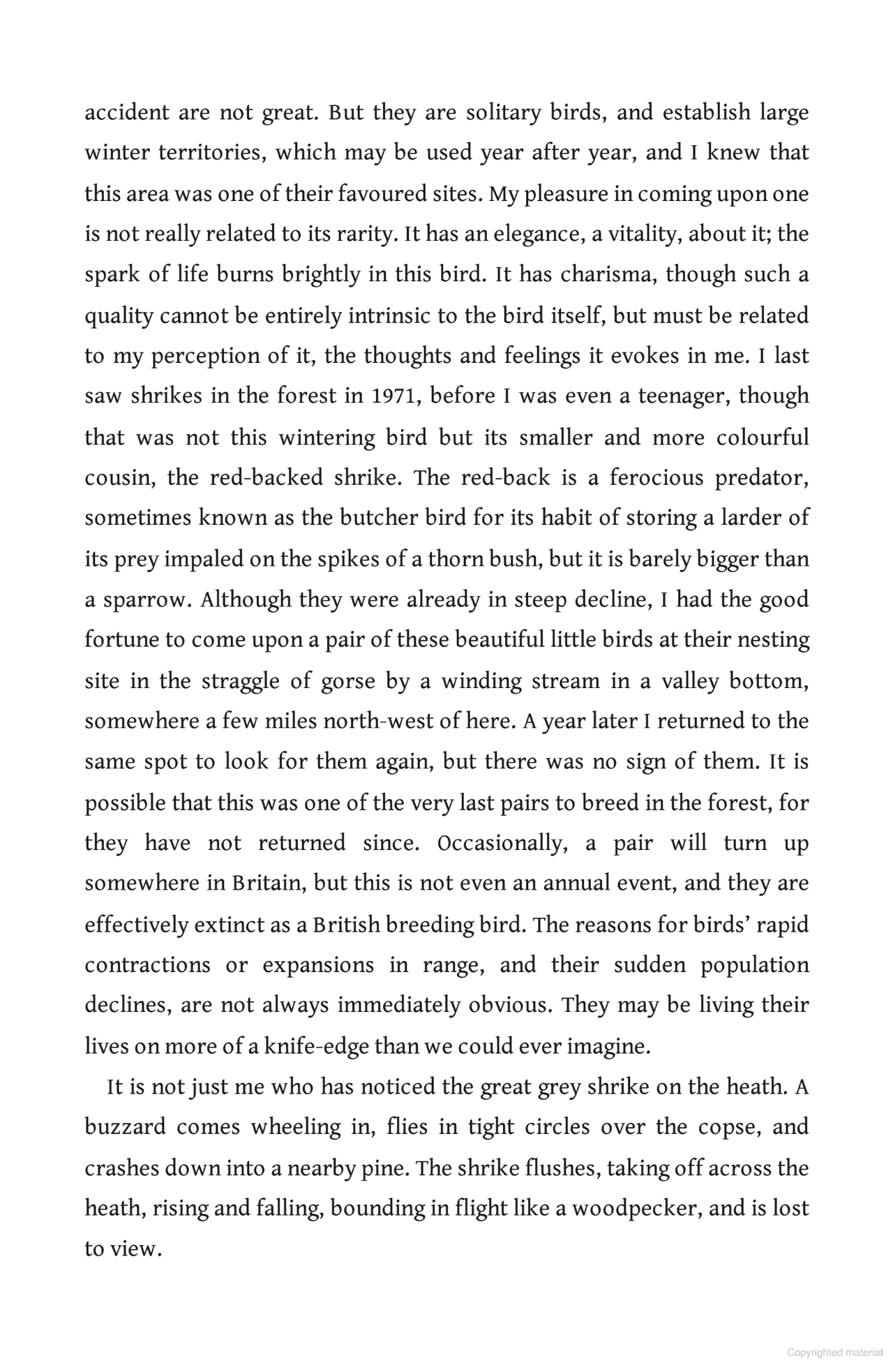 The Circling Sky : On Nature and Belonging in an Ancient Forest