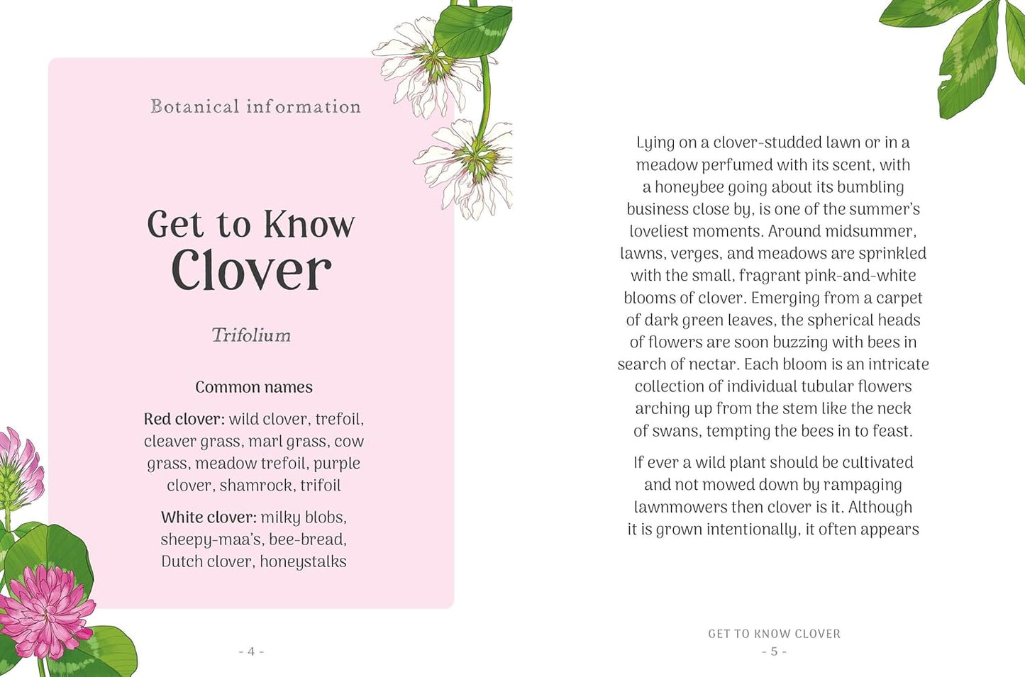 The Little Wild Library: Clover : Simple Things to Do with the Plants Around You