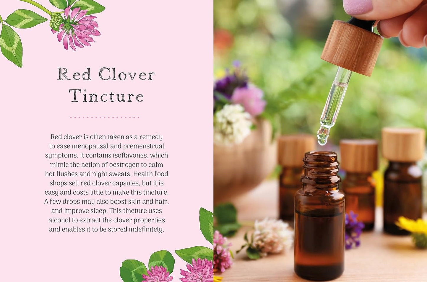 The Little Wild Library: Clover : Simple Things to Do with the Plants Around You