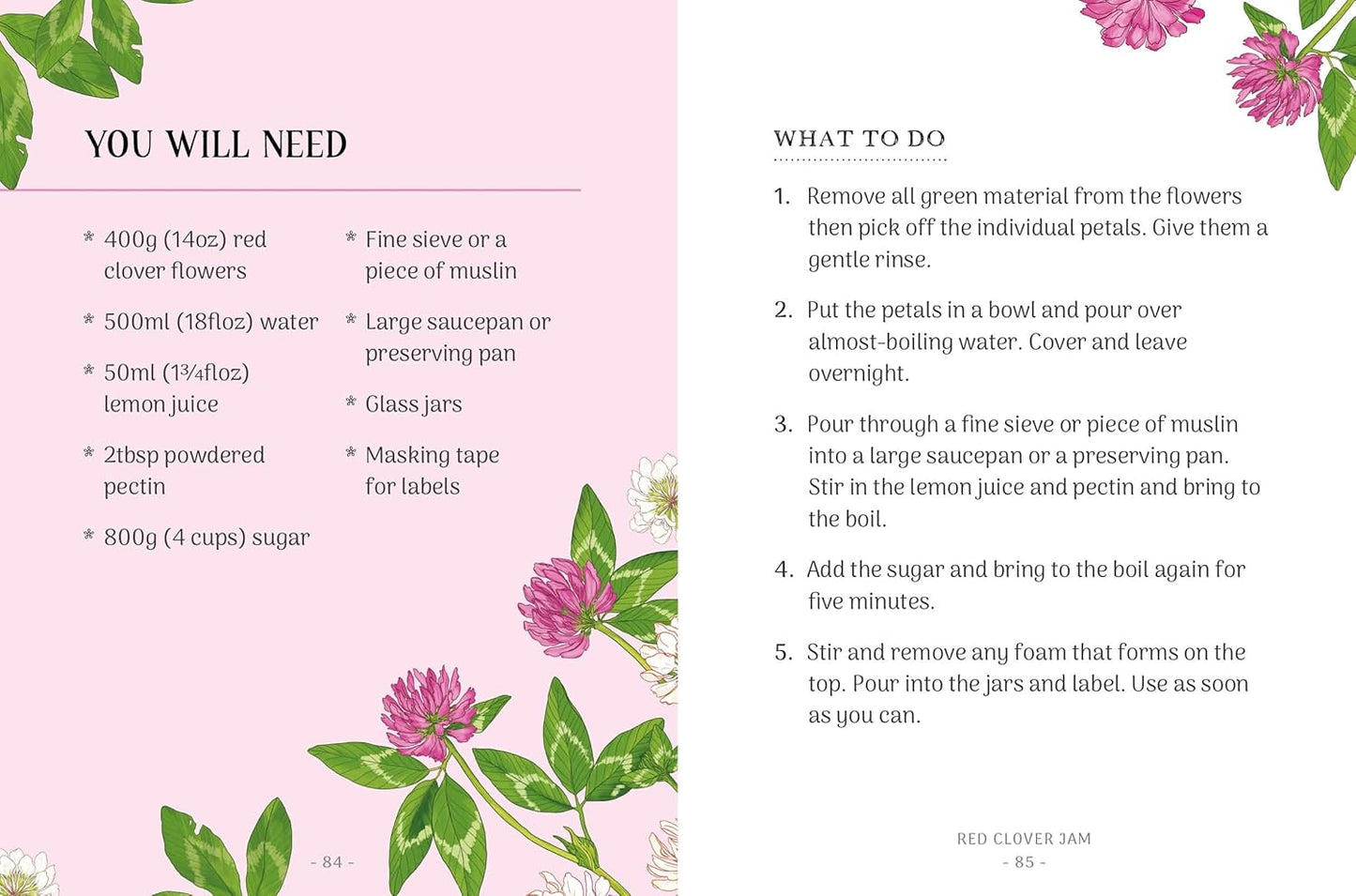 The Little Wild Library: Clover : Simple Things to Do with the Plants Around You