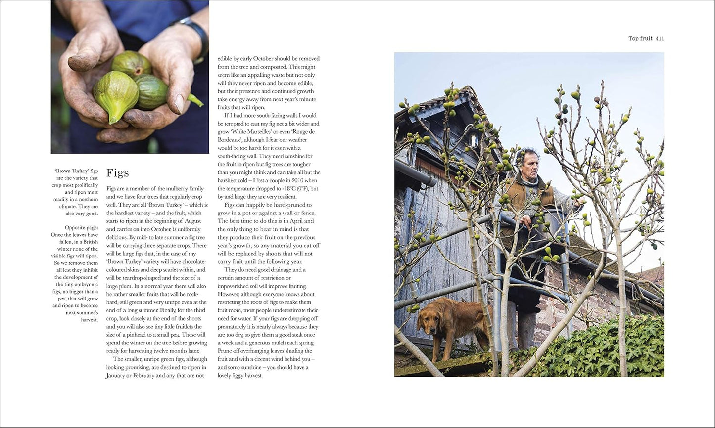 The Complete Gardener: A Practical, Imaginative Guide to Every Aspect of Gardening