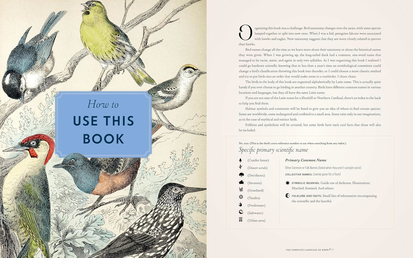 The Complete Language of Birds: A Definitive and Illustrated History