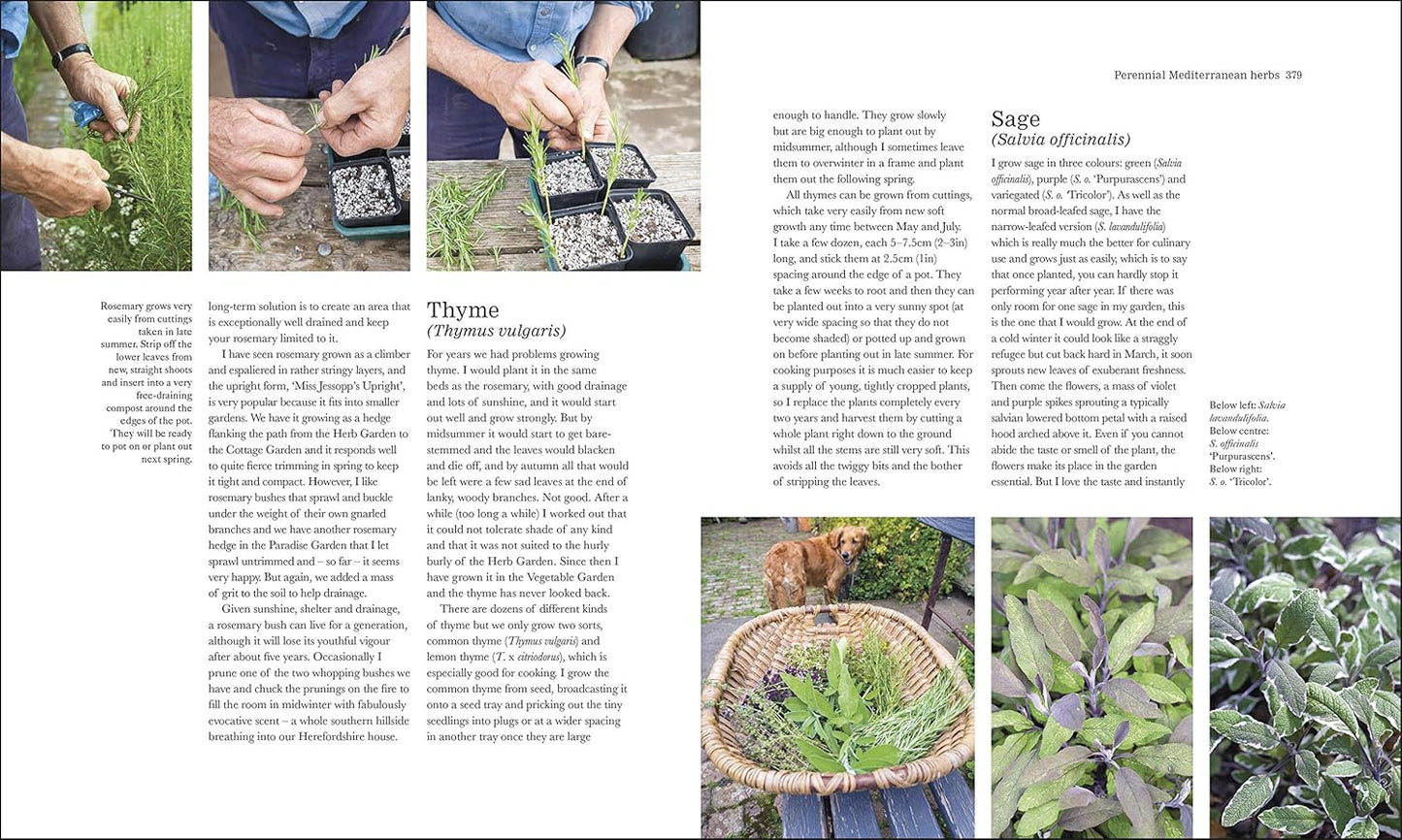 The Complete Gardener: A Practical, Imaginative Guide to Every Aspect of Gardening