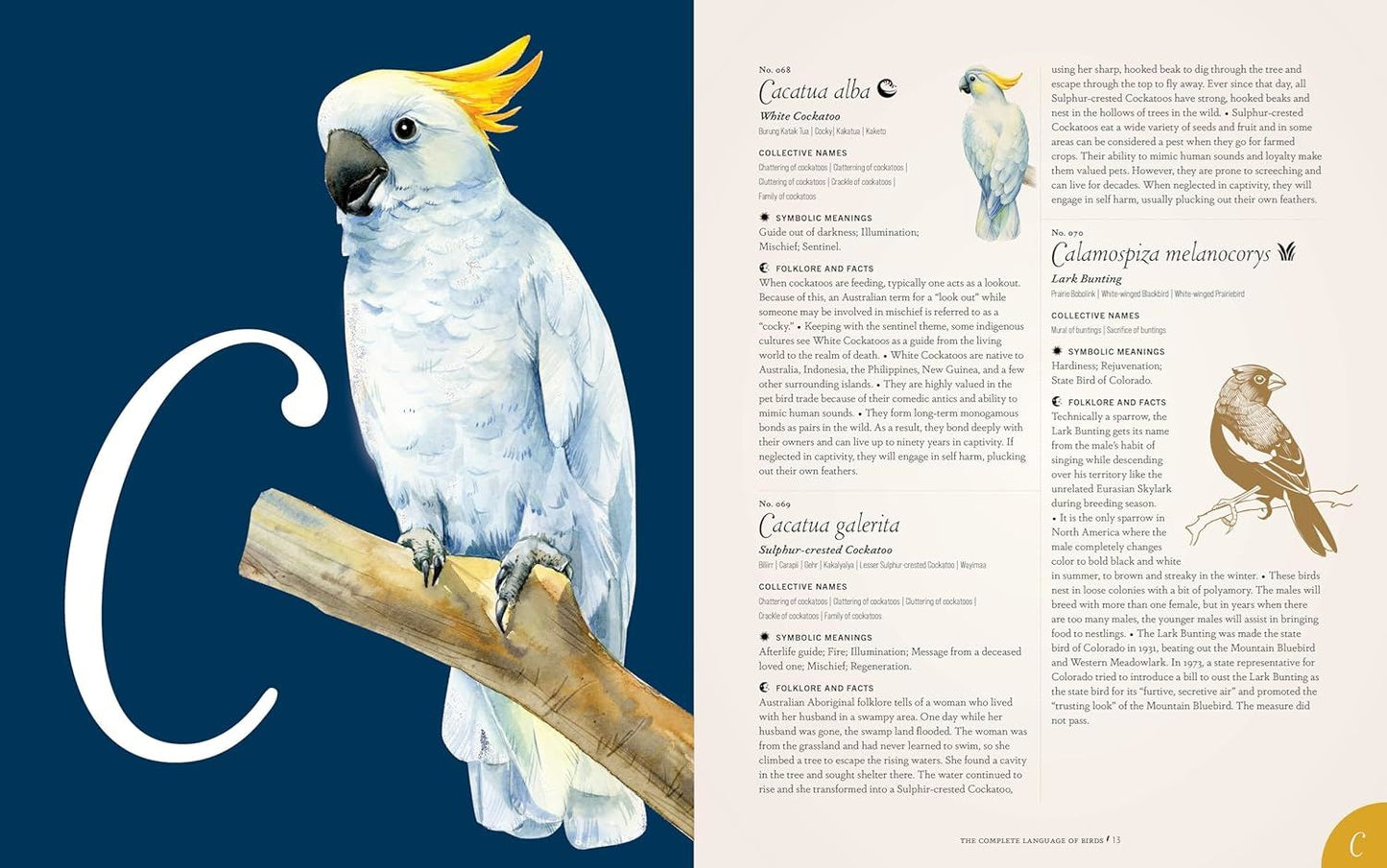 The Complete Language of Birds: A Definitive and Illustrated History